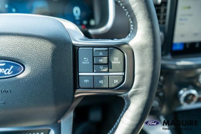 Used 2025 White Ford Platinum image 23
