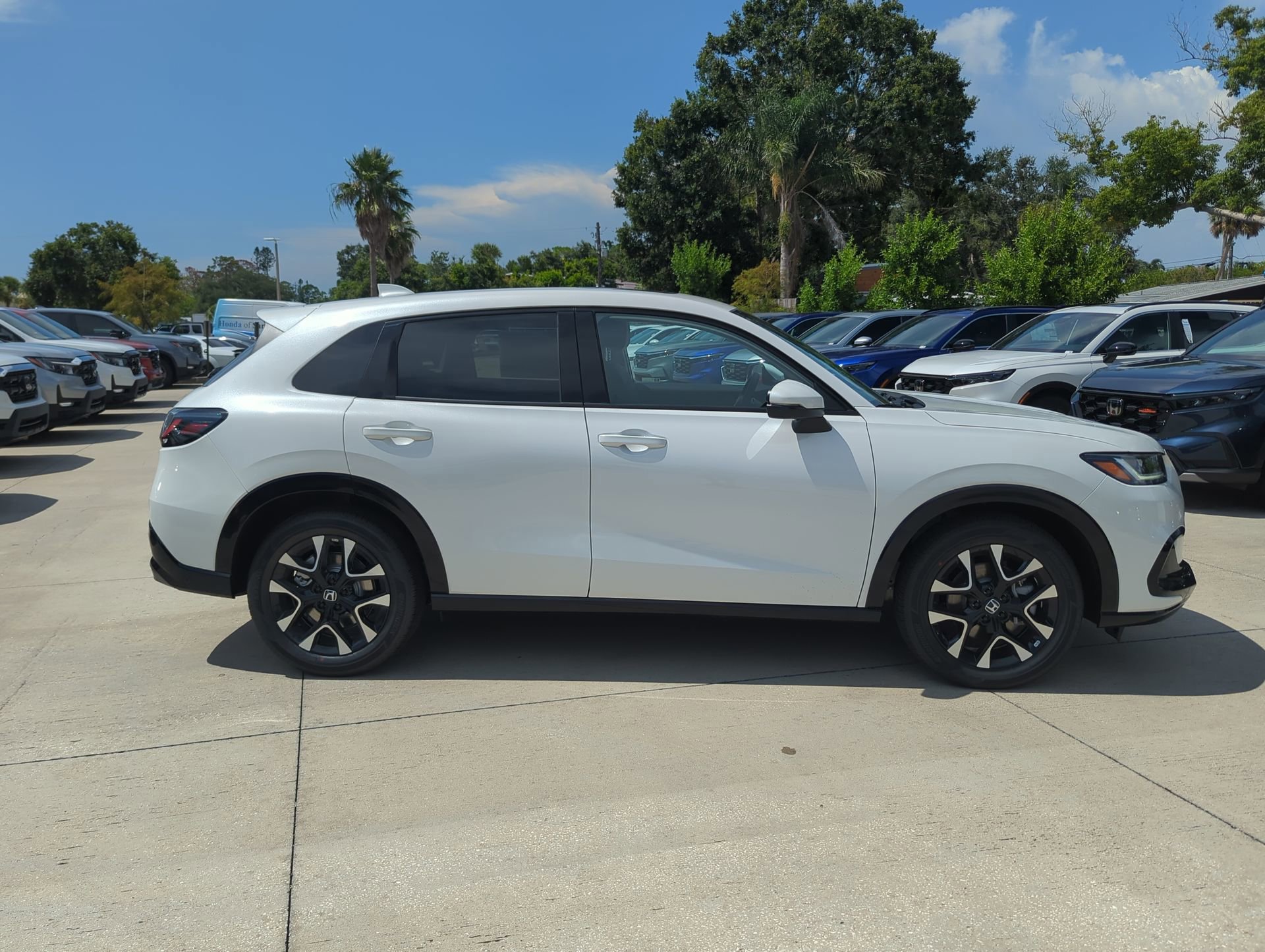 New 2027 Platinum White Pearl Honda EX-L image 5