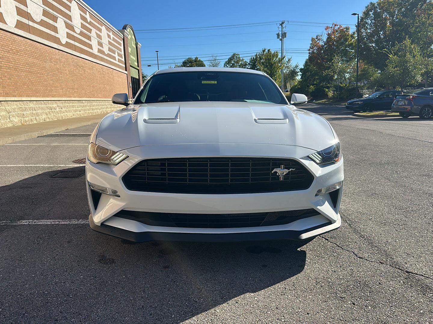Used 2021 Oxford White Ford EcoBoost Premium image 8