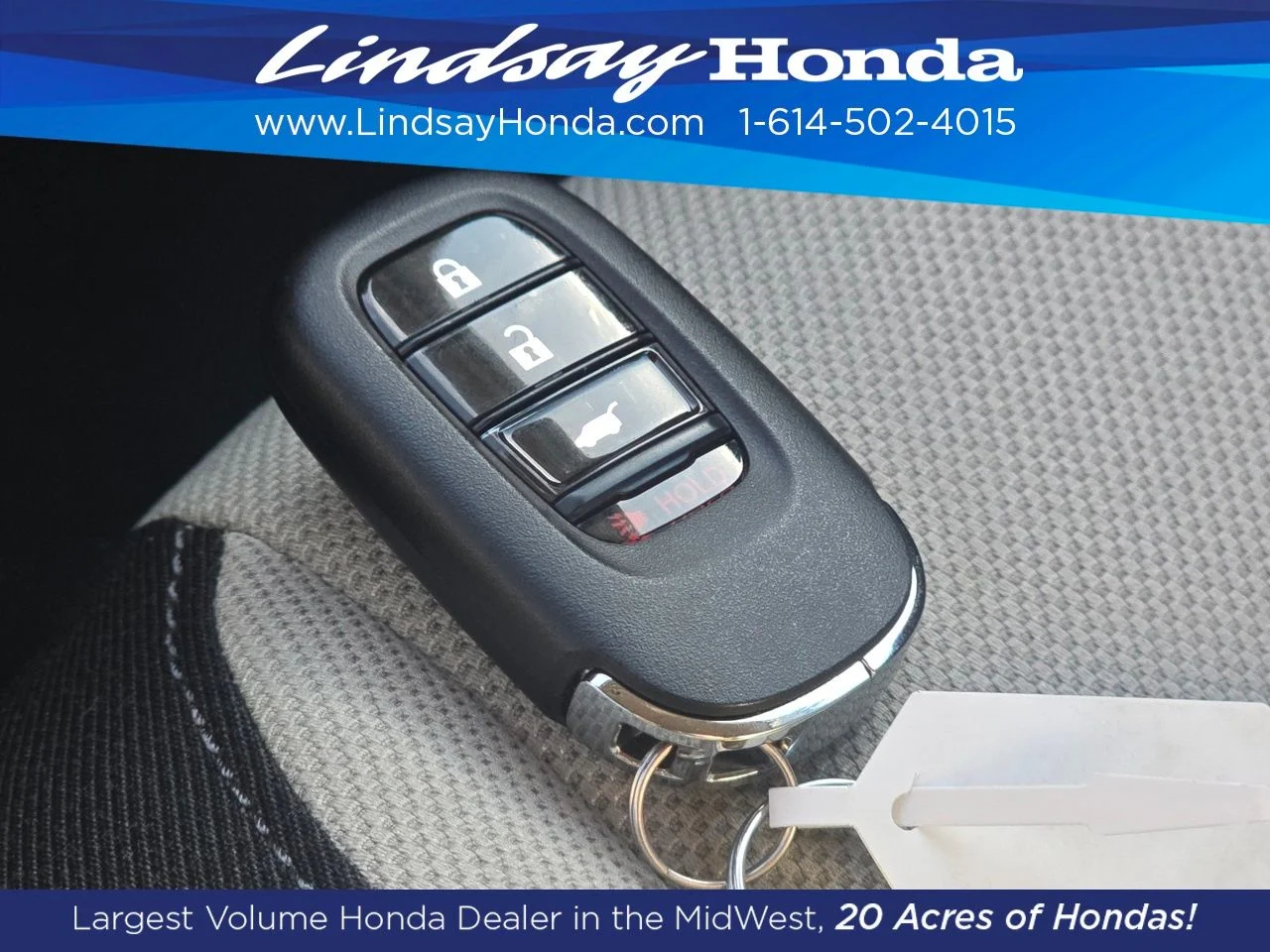 New 2026 Platinum White Pearl Honda LX image 2