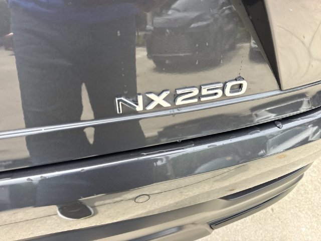 2025 Lexus NX 250 - Photo 25