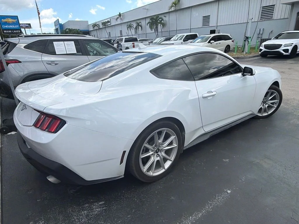 Used 2024 Oxford White Ford EcoBoost image 4