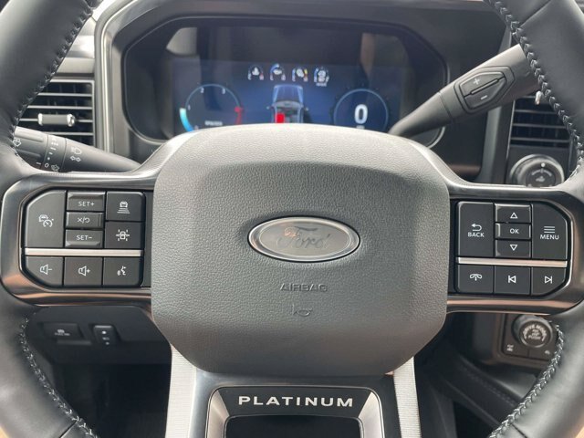New 2026 Gray Ford Platinum image 34