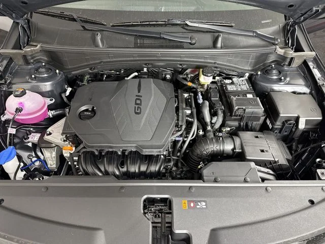 New 2026 Panthera Metal Kia EX image 24