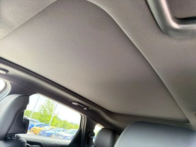 New 2026 Black Kia X-Line image 16