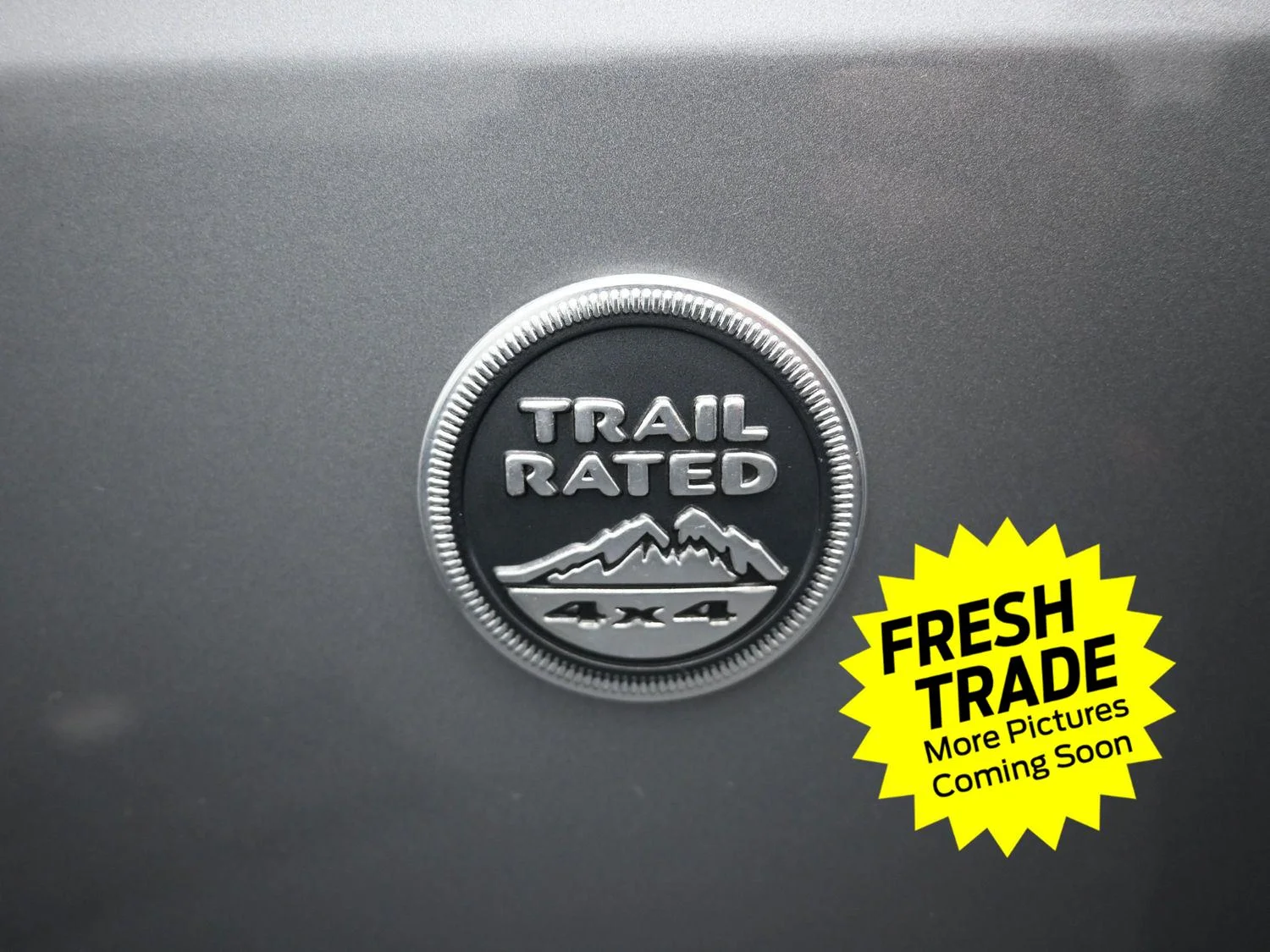 Used 2016 Billet Silver Metallic Clearcoat Jeep Black Bear image 13