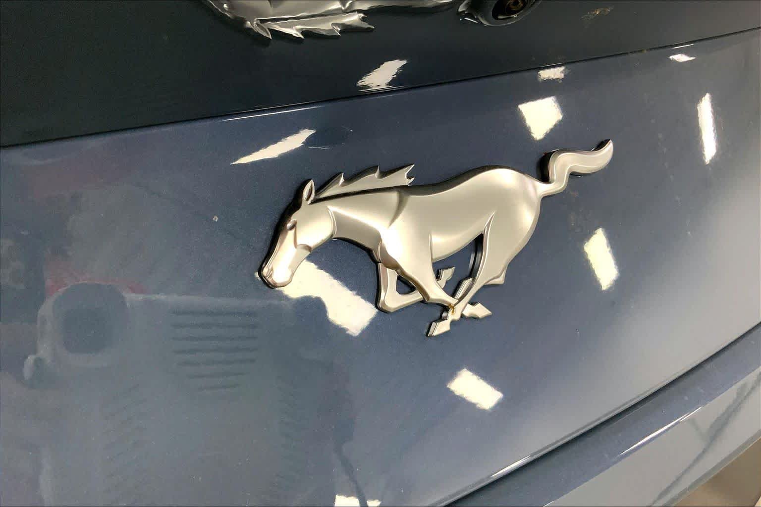 New 2026 Vapor Blue Metallic Ford EcoBoost® Fastback image 12