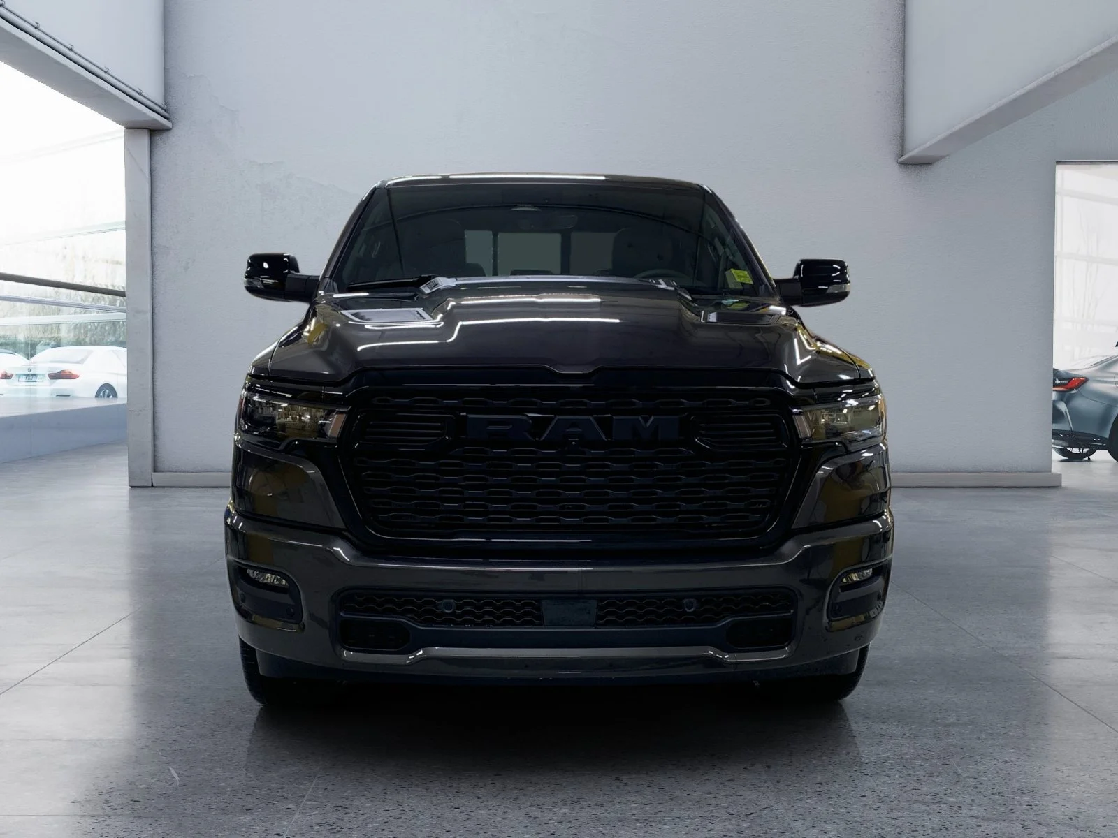 New 2026 Granite Crystal Metallic Ram Sport image 8