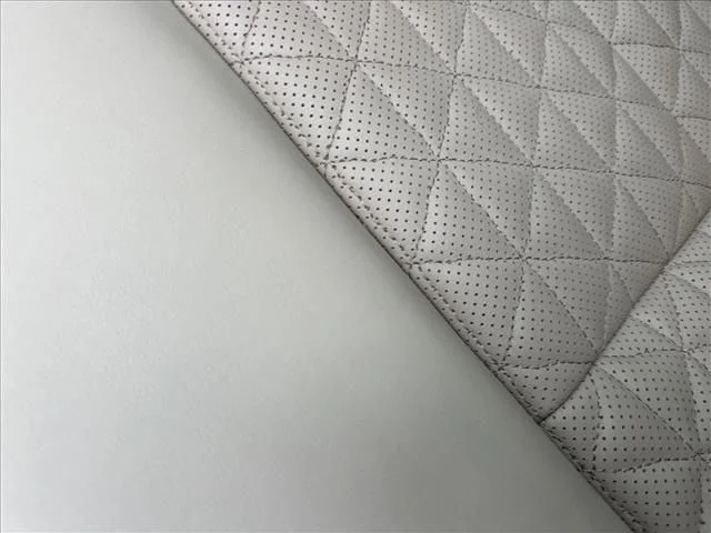 Used 2020 White Nissan Platinum image 19