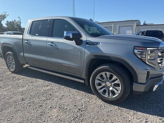 2024 Gmc Sierra 1500 Denali photo 3