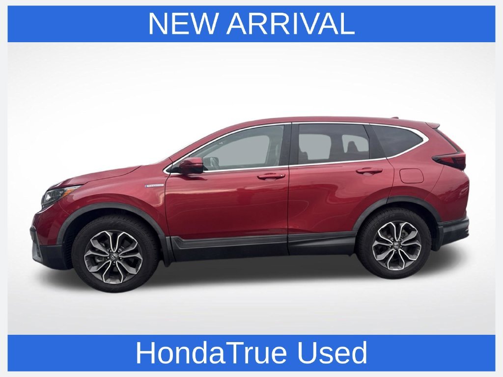Used 2020  Honda EX-L image 1