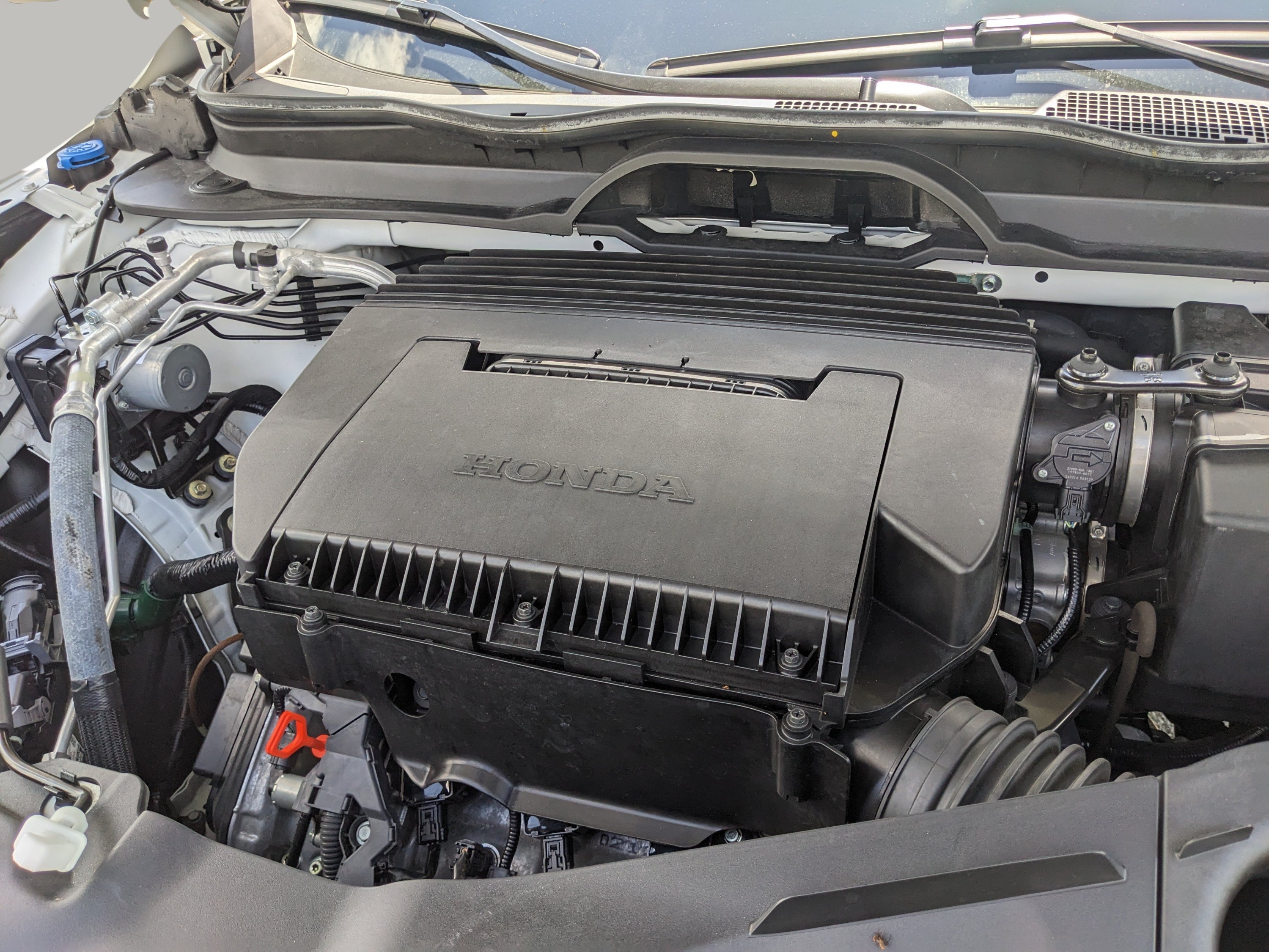 Certified Used 2025 Platinum White Honda Black Edition image 8
