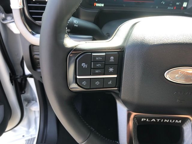 2025 Ford F-250 Super Duty Platinum - Photo 16