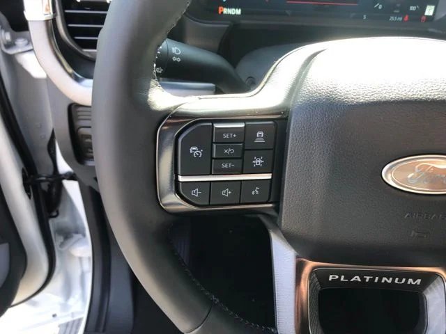 2025 Ford F-250 Super Duty Platinum - Photo 16