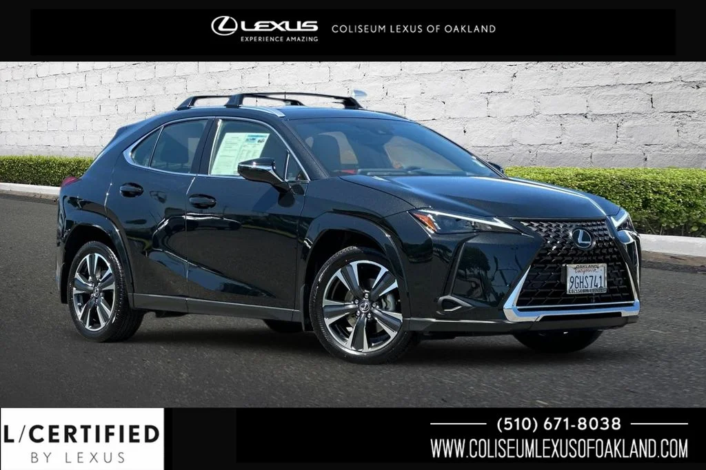 2024 Lexus UX 300h 250h Premium's photo