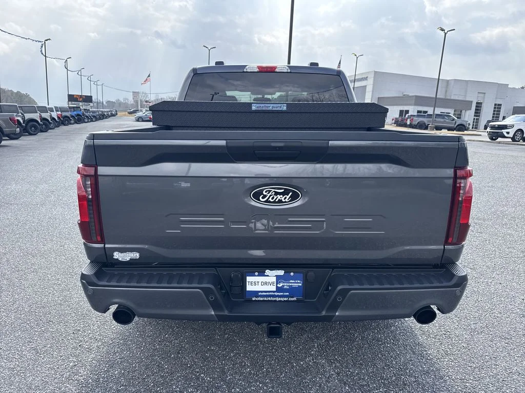 New 2026 Gray Ford STX image 6