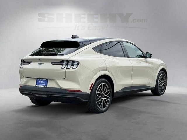 Used 2025 Beige Ford Premium image 9