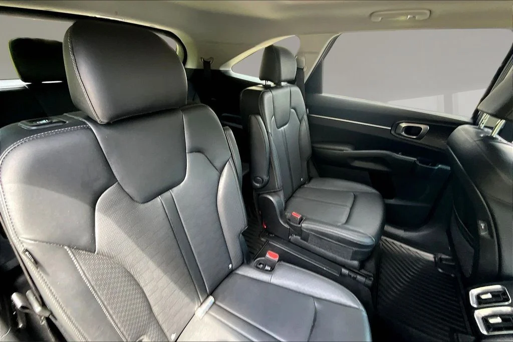Certified Used 2025 Panthera Metal Kia EX image 24