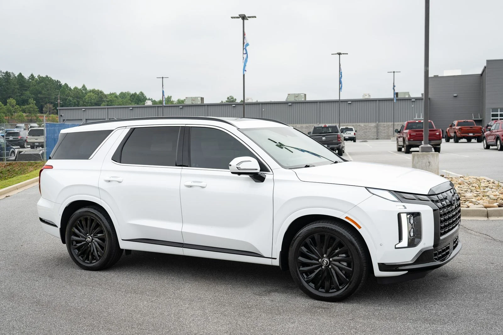 Used 2025 White Hyundai Calligraphy Night Edition image 12