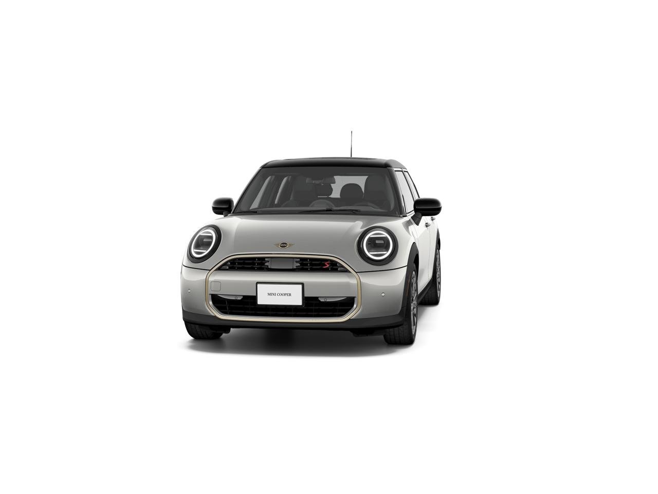 New 2027 Melting Silver III Metallic MINI SIGNATURE PLUS image 3