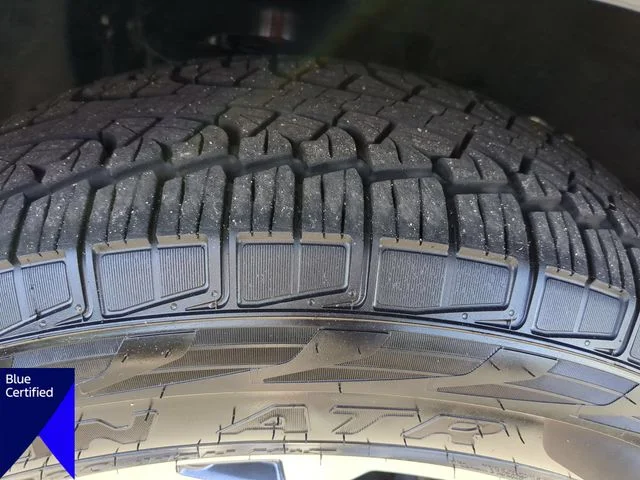 Used 2025 Blue Ford Active image 11