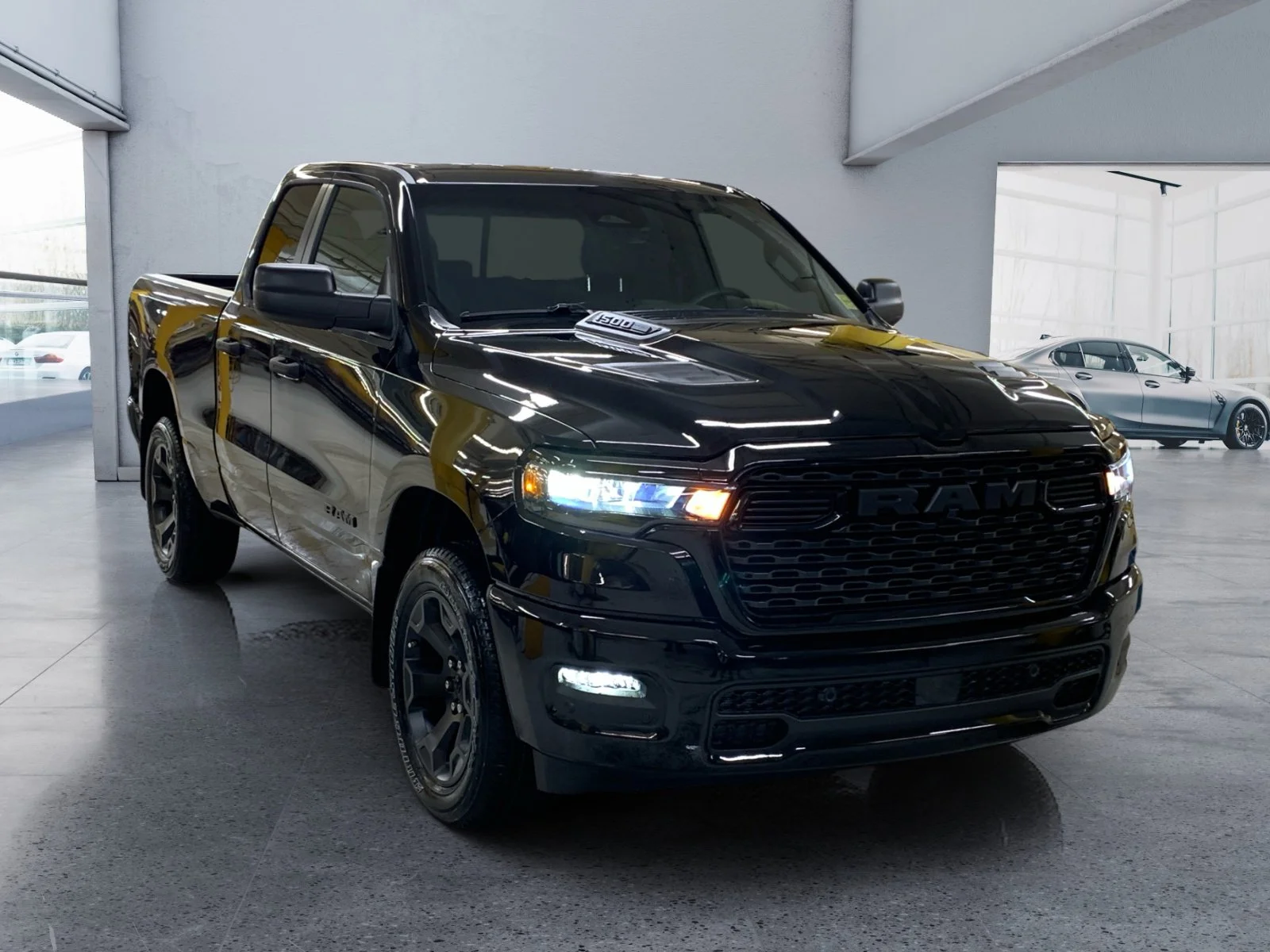 New 2026 Diamond Black Crystal Pearl Ram Express image 7