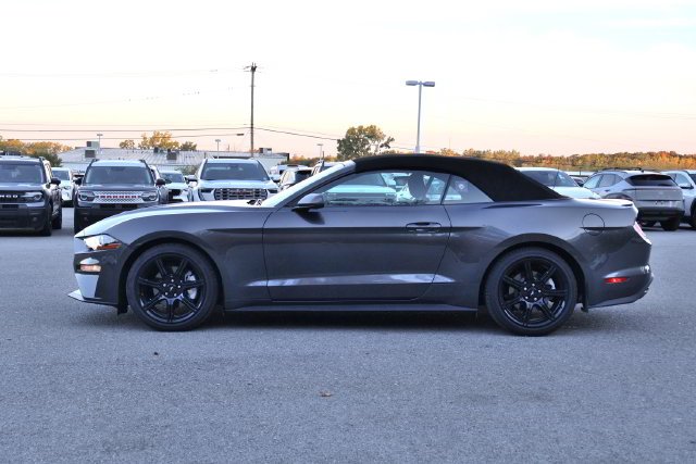 Used 2019 Gray Ford EcoBoost image 3
