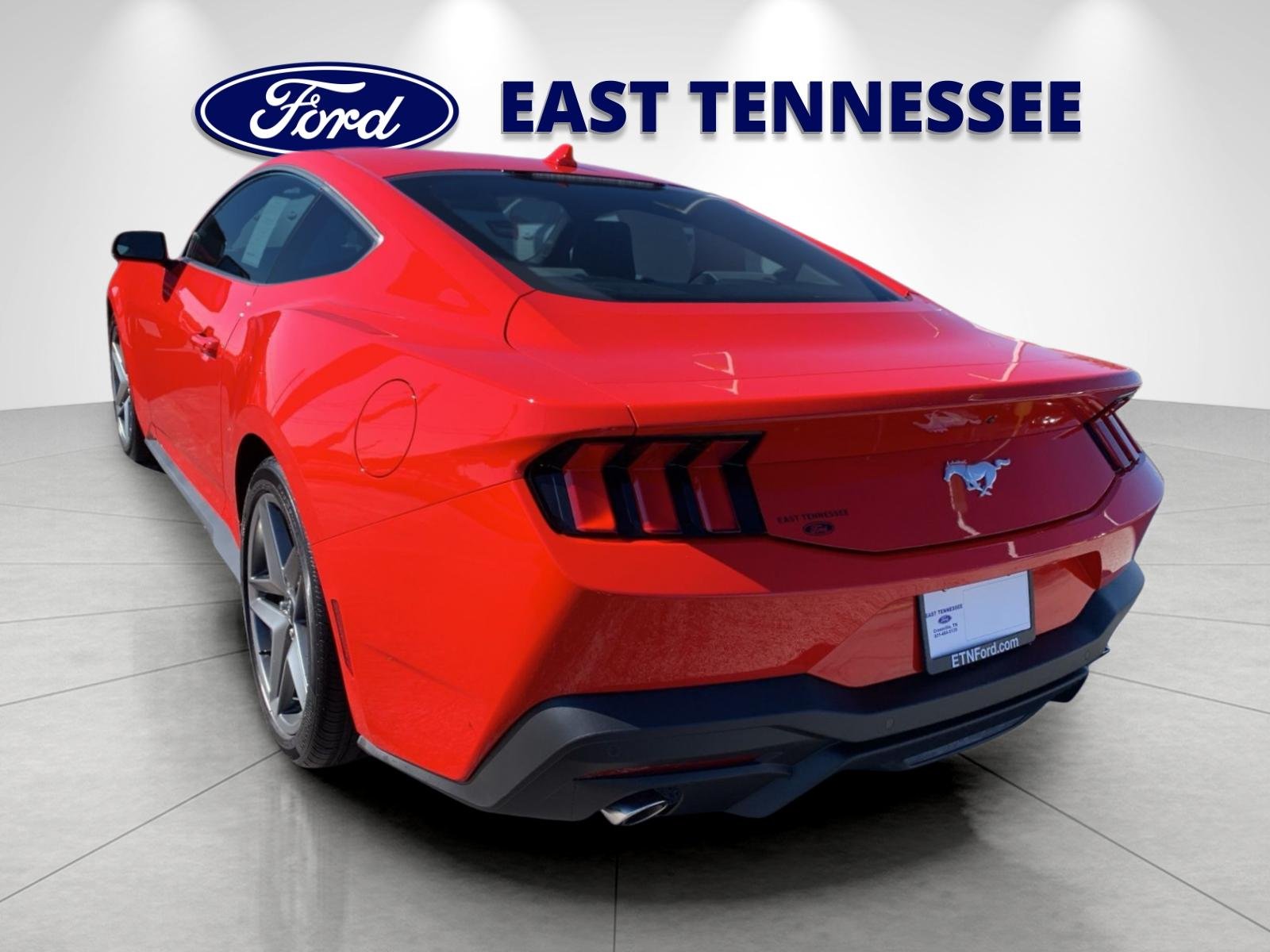 New 2026 Race Red Ford EcoBoost® Premium Fastback image 5