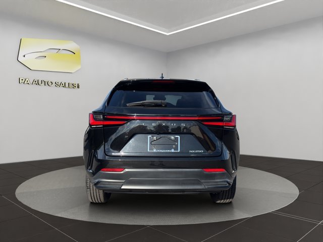Used 2024 Black Lexus NX 250 image 6