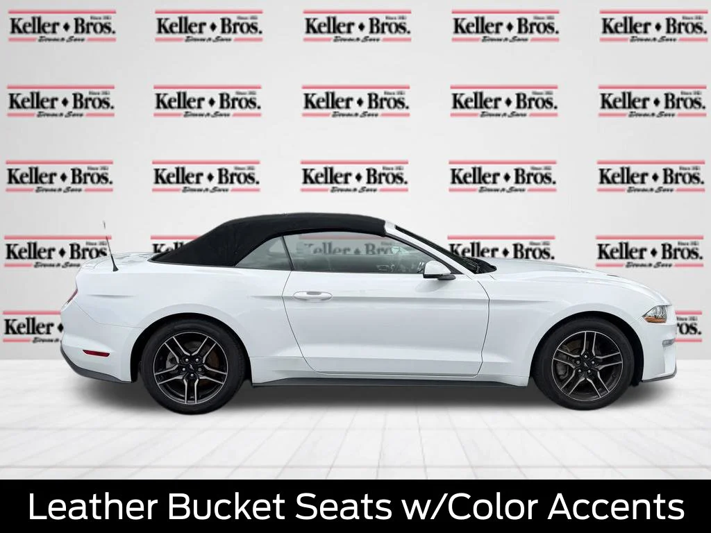 Used 2019 Oxford White Ford EcoBoost Premium image 8