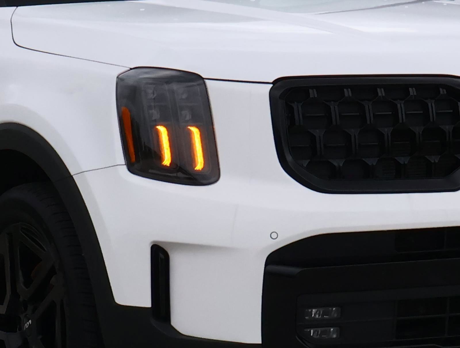 2024 Kia Telluride SX Prestige X-Line - Photo 7