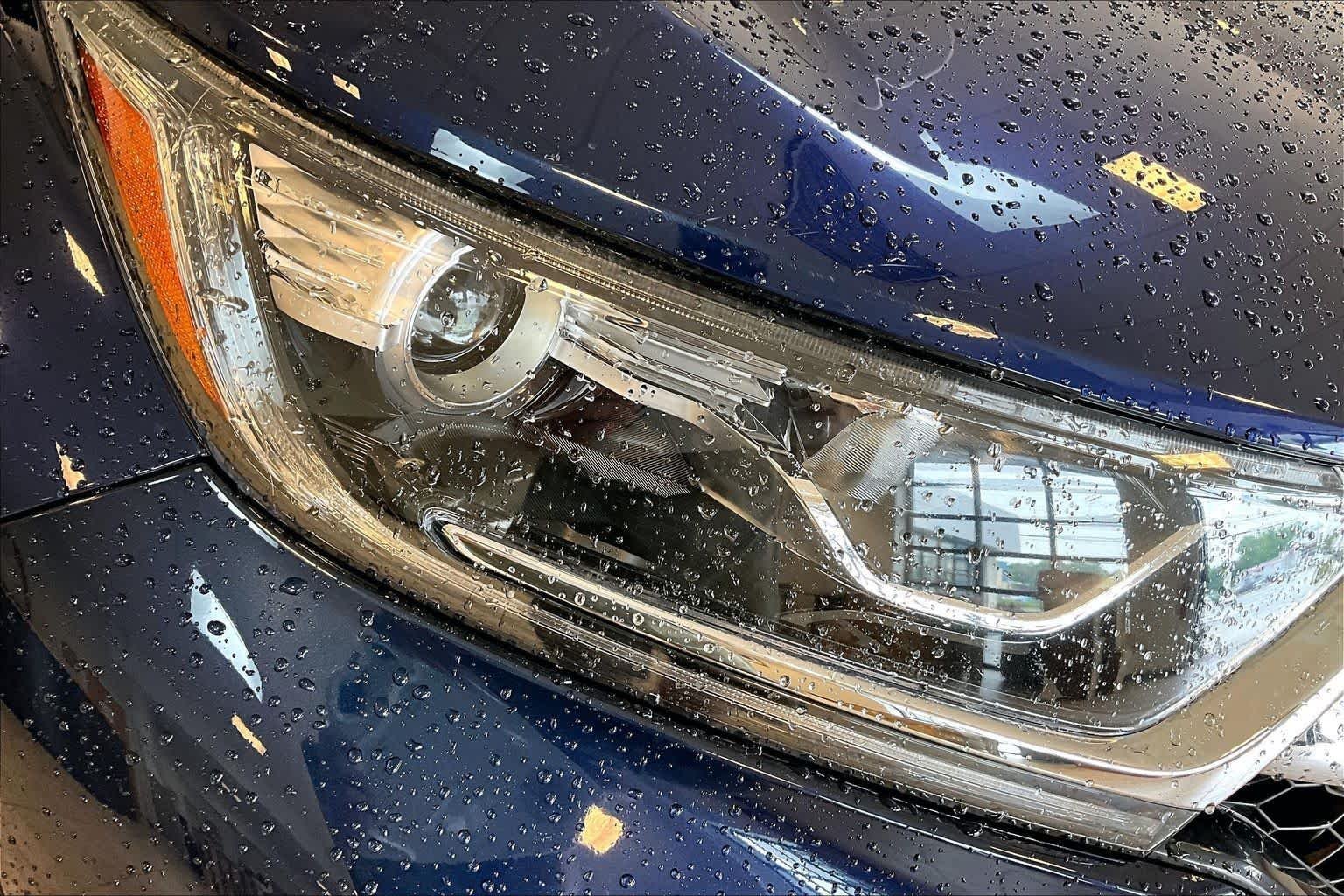 Used 2019 Obsidian Blue Pearl Honda EX image 27