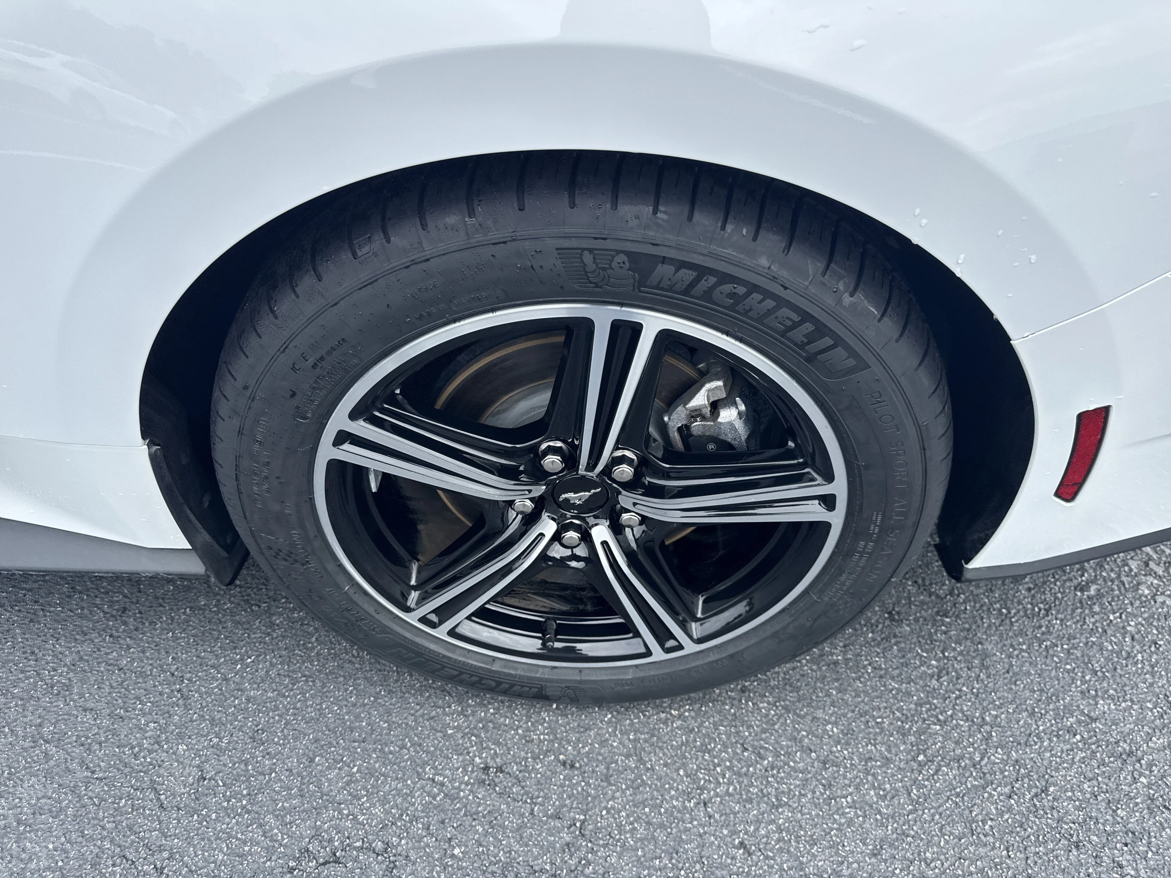 Used 2025 Oxford White Ford EcoBoost Premium image 13