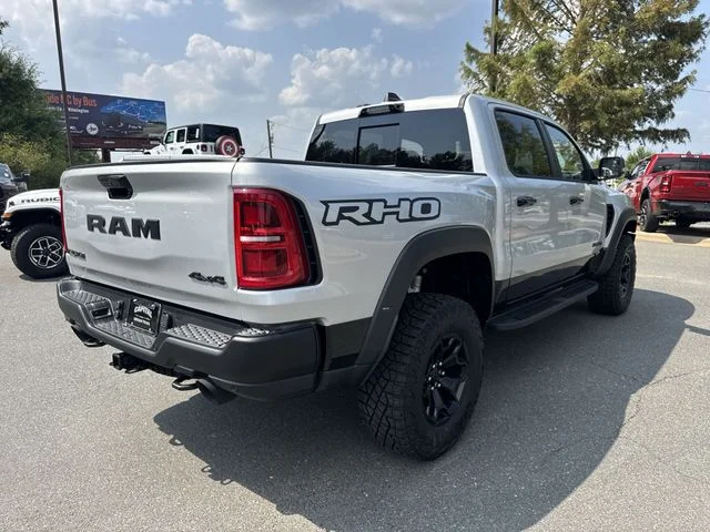 New 2026 Silver Zynith Exterior Paint RAM RHO image 12