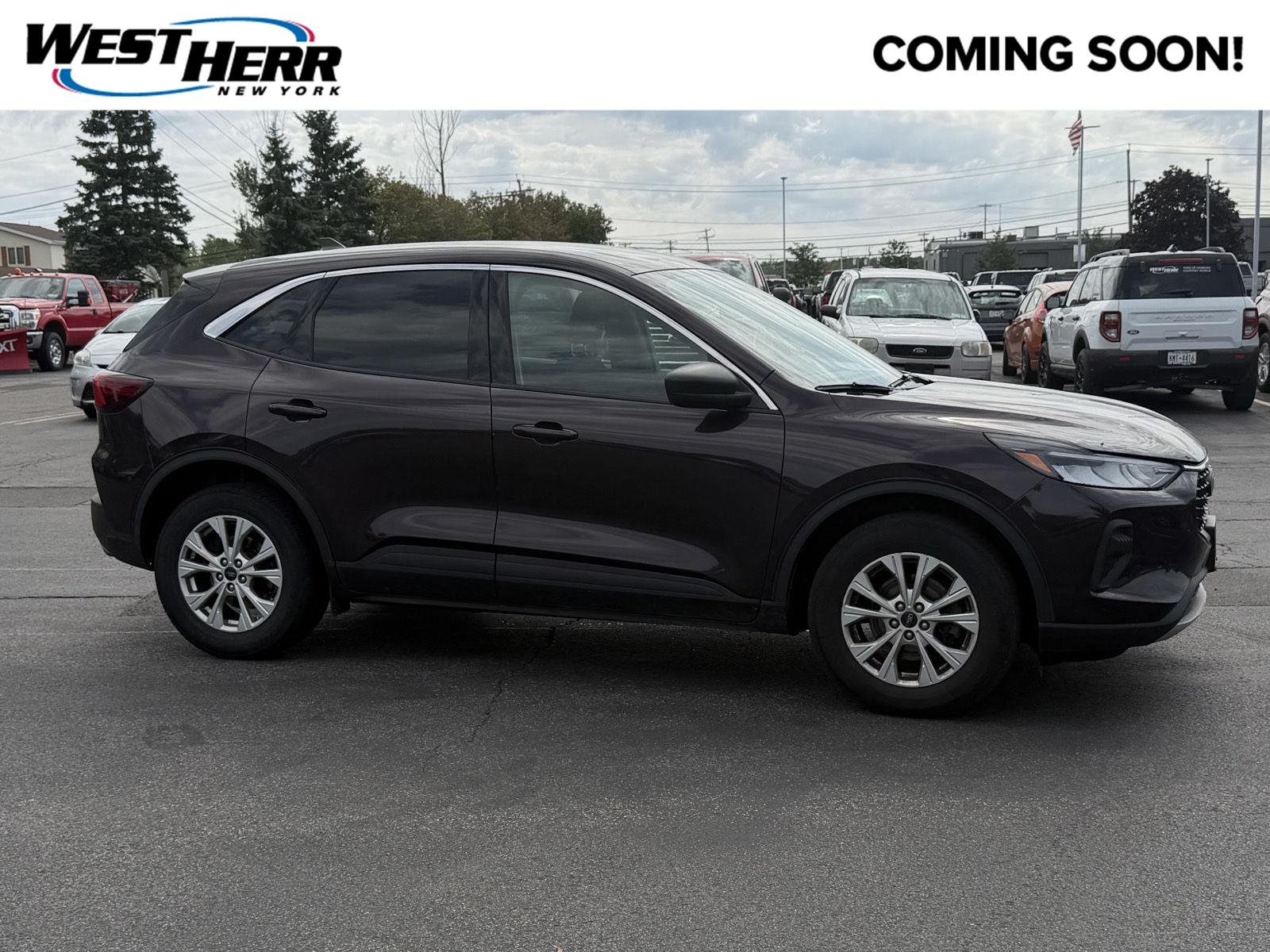 Used 2023 Cinnabar Red Ford Active image 1