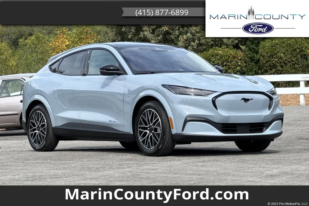 New 2026 Gray Metallic Ford Premium image 1