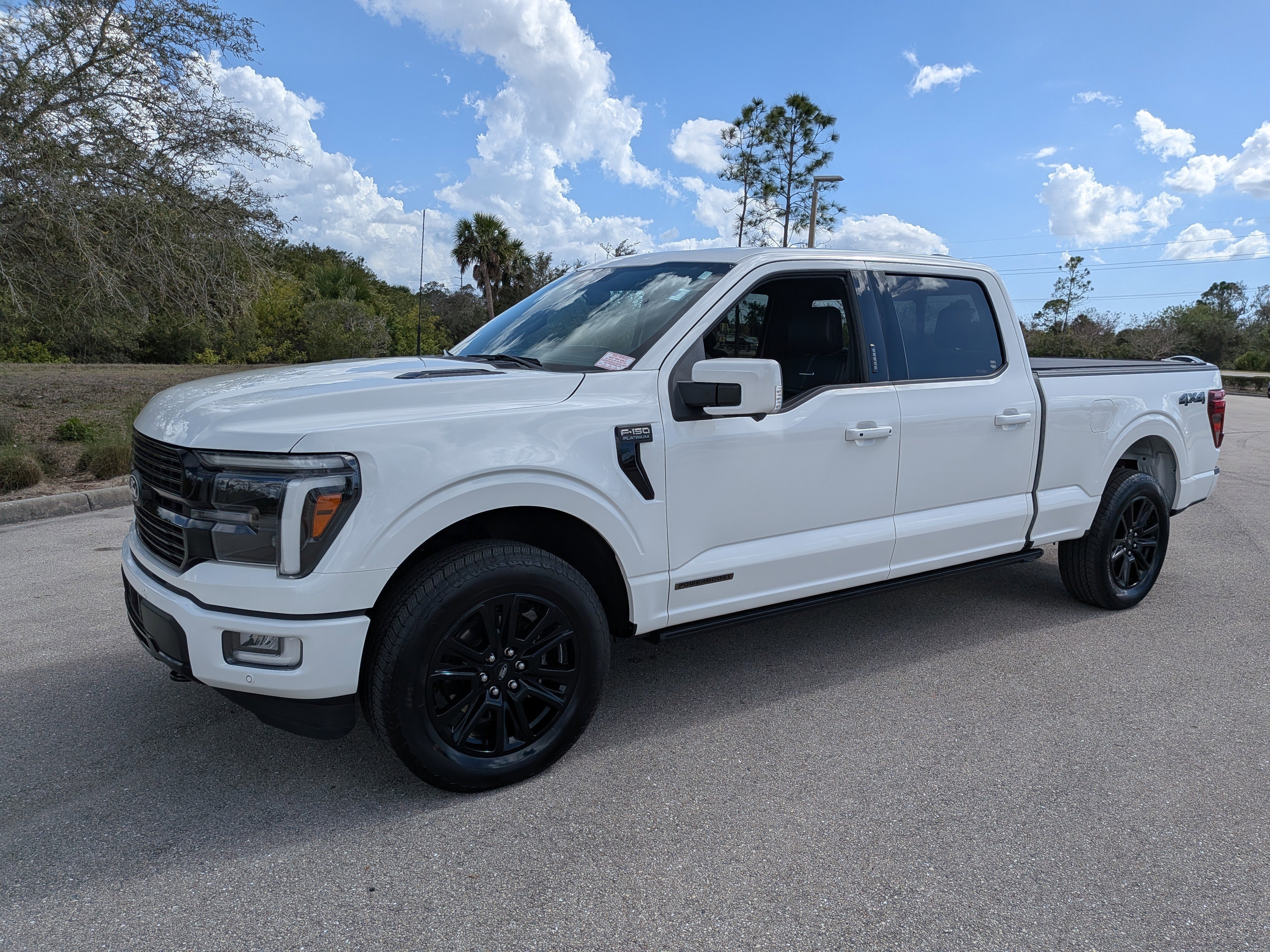 2024 Ford F-150 Platinum - Photo 9