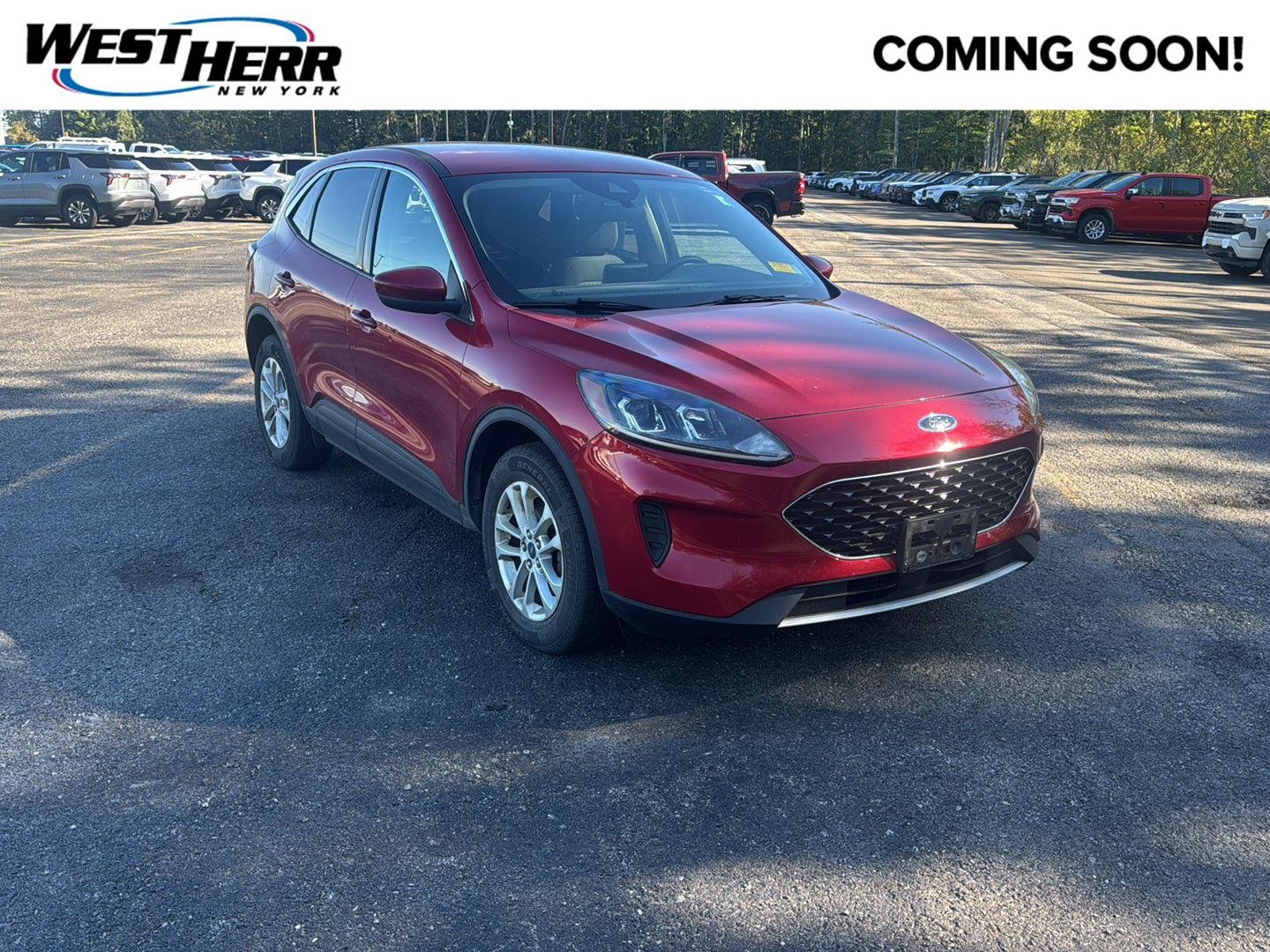 Used 2020 Rapid Red Metallic Tinted Clearcoat Ford SE image 1