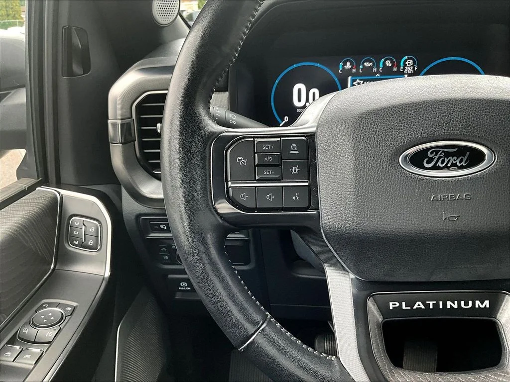 Used 2022 Gray Metallic Ford Platinum image 14