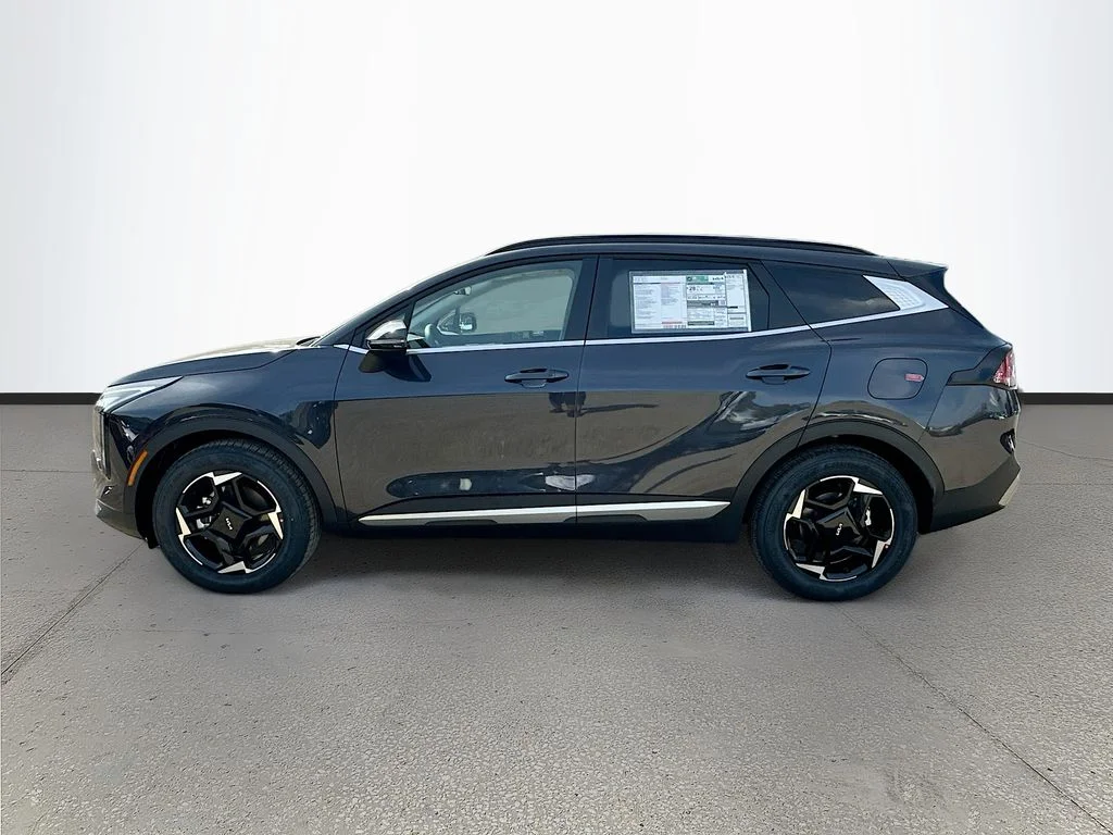New 2026 Panthera Metal Kia EX image 4