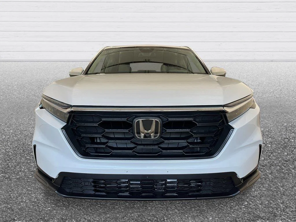 New 2026 Platinum White Pearl Honda LX image 9