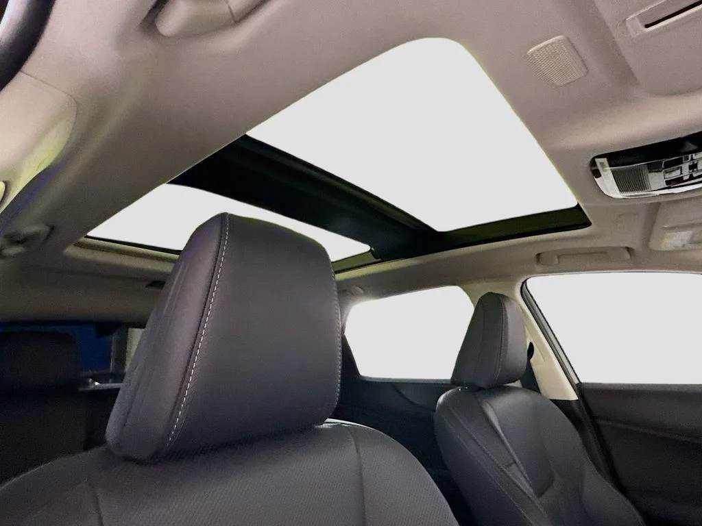 2026 Lexus NX 450h+ Luxury - Photo 19