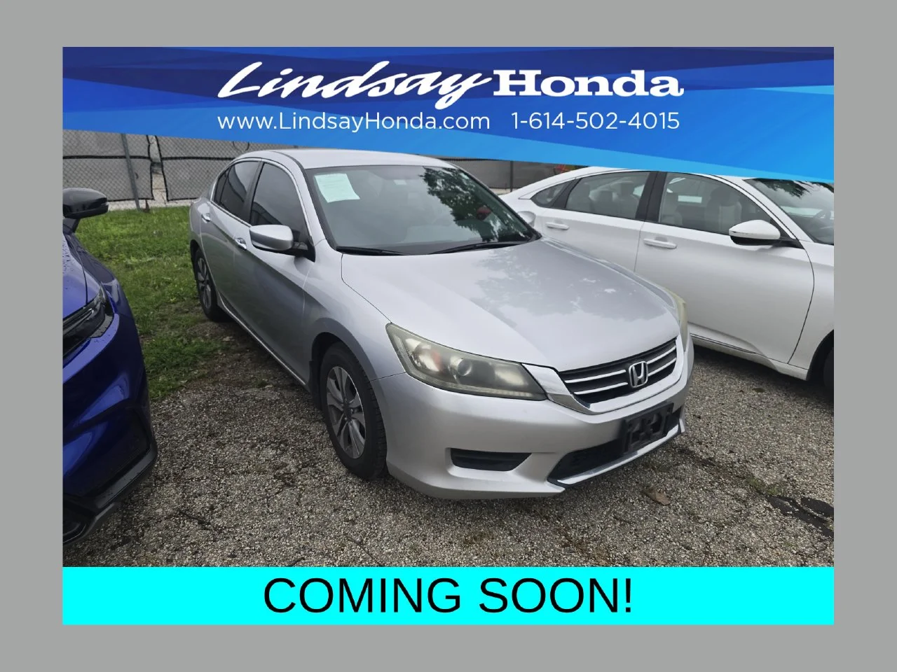 Used 2013 Alabaster Silver Metallic Honda LX image 1