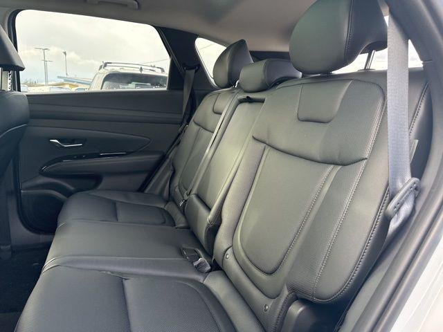 New 2026 Creamy White Pearl Hyundai Limited image 15