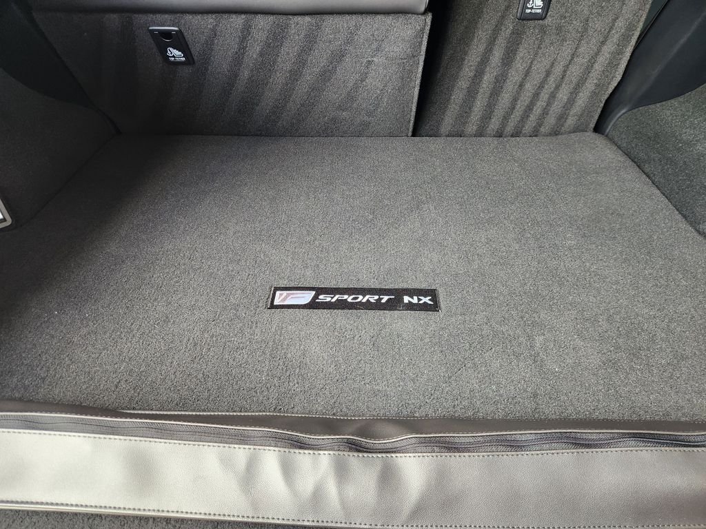 Certified Used 2021 Obsidian Lexus 300 F Sport image 34