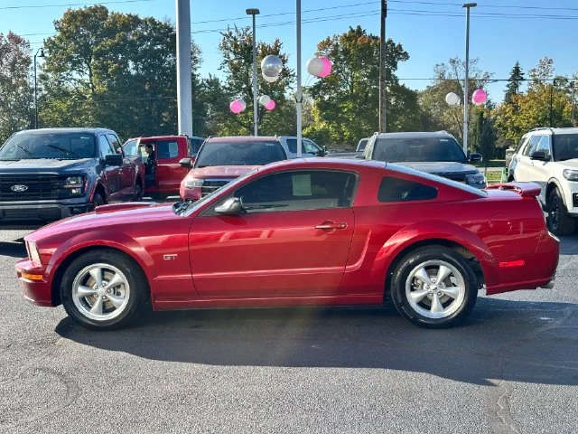 Used 2008 Orange Ford  image 4