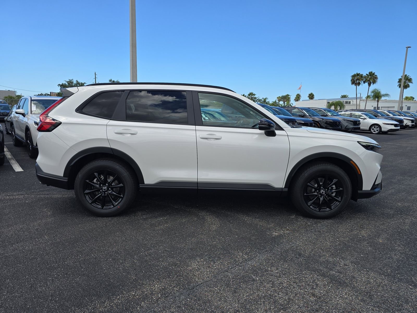 New 2026 Platinum White Pearl Honda Sport image 3