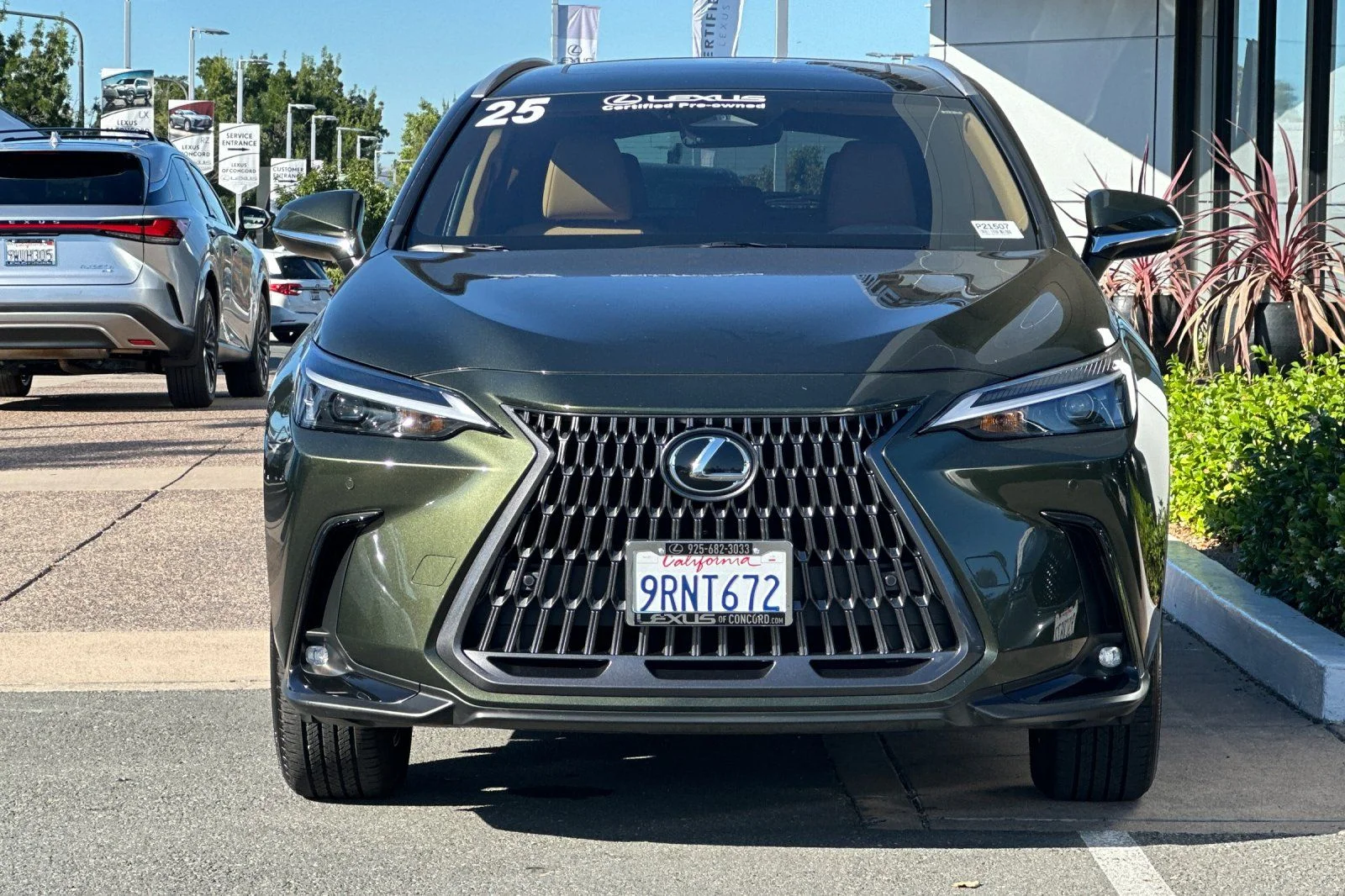 Used 2025 Green Pearl Lexus 250 Premium image 6
