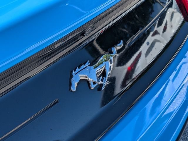 Used 2023 Grabber Blue Metallic Ford EcoBoost image 15