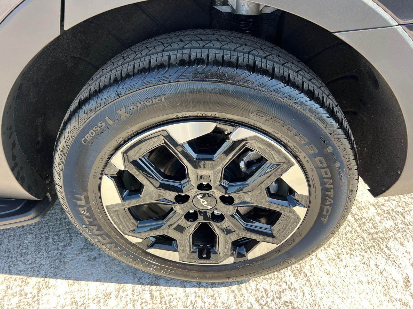 Used 2025 Panthera Metal Kia S image 19